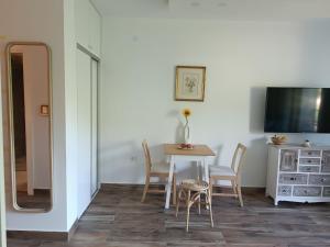 Zimmer mit einem Tisch und Stühlen sowie einem TV in der Unterkunft Hedonica 11 Ema in Vrdnik