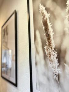 a dried plant sitting next to a framed picture at Stilvolles Apartment mit ländlichem Ausblick in Hattingen