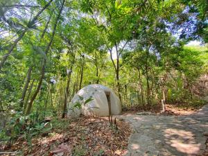 a white tent in the middle of a forest at Pousada Éden - Conforto, Imersão e Natureza in Sao Jorge