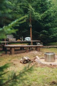 una mesa de picnic en un parque con una olla en Cosy Forest Lodge en Penrhôs