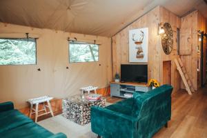 TV a/nebo společenská místnost v ubytování Cosy Forest Lodge