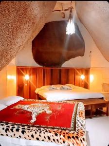 Легло или легла в стая в Enseada Das Pedras