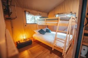 PenrhôsCosy Forest Lodge的房屋内设有一间带两张双层床的卧室