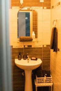 uma casa de banho com um lavatório e um espelho em Reina Spa em Sarajevo