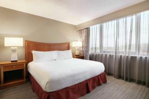 a hotel room with a bed and a large window at Embassy Suites by Hilton Orlando International Drive ICON Park in Orlando