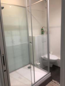 a glass shower in a bathroom with a toilet at Grand studio in Meythet