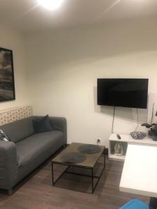 a living room with a couch and a flat screen tv at Grand studio in Meythet