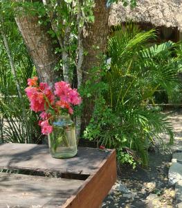 a vase filled with pink flowers sitting on a table at Cabañas Mannan in Tanchachín