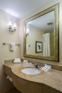 a bathroom with a sink and a large mirror at Hilton Garden Inn New York/Tribeca in New York +30 photos