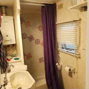 Aurec-sur-Loire的住宿－mobile home aux Rives D'Aurec，一间带水槽和淋浴帘的浴室