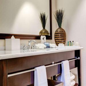 bagno con lavandino e specchio di Hilton Orrington/Evanston a Evanston