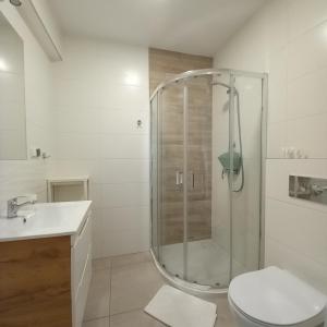 a bathroom with a shower with a toilet and a sink at Apartamenty Na Fali in Jastarnia +65 photos