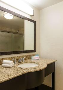 bagno con lavandino e specchio di Hampton Inn & Suites Phoenix Chandler Fashion Center a Chandler