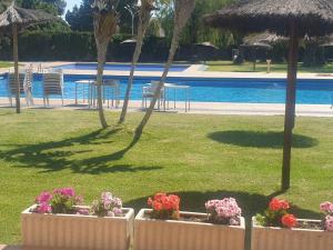 Basen w obiekcie Casa CAMPOAMOR lub w pobliżu
