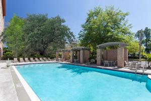 a large swimming pool with chairs and trees at Embassy Suites by Hilton Tampa USF Near Busch Gardens in Tampa