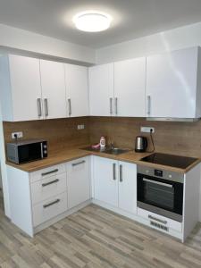 Apartmány Hodonín的厨房或小厨房