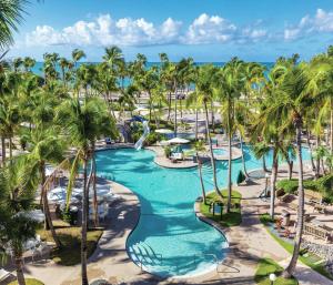 an aerial view of a resort pool with palm trees at Hilton Ponce Golf & Casino Resort in Ponce