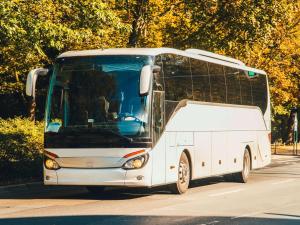 a white bus is driving down the street at Hilton Orlando Buena Vista Palace - Disney Springs Area in Orlando