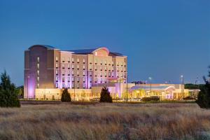 アーリントンにあるHilton Garden Inn Dallas/Arlington Southの紫色の照明が目の前に広がる建物