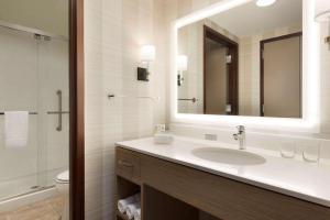 Homewood Suites by Hilton Chicago West Loop Fulton Mkt Area的一间浴室