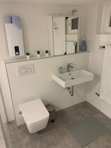 Baño blanco con aseo y lavamanos en Nice Calm Souterrain Appertment in Ratingen en Ratingen