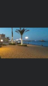 a beach with palm trees and the ocean at night at New venecia resort in Ain Sokhna
