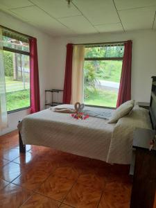a bedroom with a large bed and two windows at Twin Palms Lodge in Monteverde Costa Rica