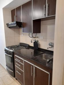a small kitchen with a stove and a sink at Barracas Charme in Buenos Aires