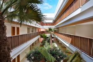 an internal view of a building with trees and plants at Hilton Cabo Verde Sal Resort in Santa Maria