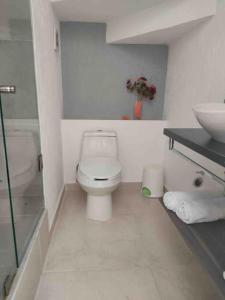 een witte badkamer met een toilet en een wastafel bij Comodidad y Tranquilidad a tu Alcance in San Juan del Río