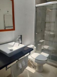 een badkamer met een wastafel, een toilet en een douche bij Comodidad y Tranquilidad a tu Alcance in San Juan del Río