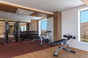 Fitness centrum a/nebo fitness zařízení v ubytování DoubleTree By Hilton Jaipur Amer