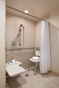 a bathroom with a shower and a toilet and a sink at Embassy Suites by Hilton Boston Marlborough in Marlborough
