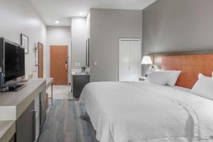 Postel nebo postele na pokoji v ubytování Hampton Inn Brownwood