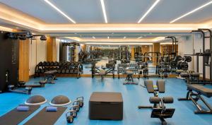 Fitness centrum a/nebo fitness zařízení v ubytování Hilton Abu Dhabi Yas Island