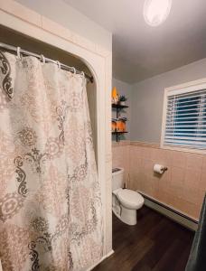 a bathroom with a shower curtain and a toilet at Sun Chaser Bay in Carrying Place