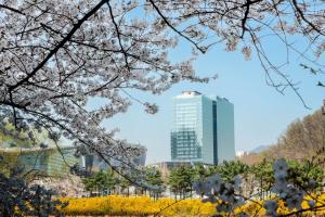 a cityscape withakura trees and a tall building at DoubleTree By Hilton Seoul Pangyo Residences in Seongnam