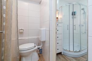 y baño con aseo y ducha. en Apartments for families with children Prezid, Gorski kotar - 20260 en Prezid