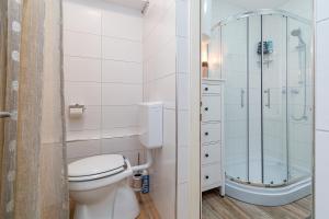 a bathroom with a toilet and a shower at Apartments for families with children Prezid, Gorski kotar - 20260 in Prezid