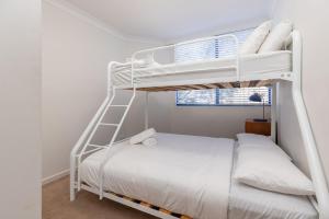 een slaapkamer met 2 stapelbedden en een ladder bij Heritage 303 in Tuncurry