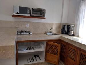 Kuchyň nebo kuchyňský kout v ubytování Hotel Suites Mar Elena