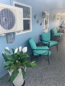 a waiting room with chairs and a plant at Beautiful and comfortable rom apt # 2 in Tampa