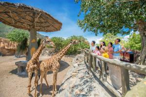 Tiere im Resort oder in der Nähe