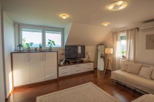 ein Wohnzimmer mit einem Sofa und einem TV in der Unterkunft Holiday home in Smarjeske Toplice - Kranjska Krain 45723 in Smarjeske Toplice