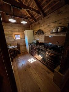 Kuchyň nebo kuchyňský kout v ubytování Holiday home in Otocec - Kranjska Krain 45722 + 22 fotografií