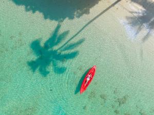 a red surfboard in the water with a shadow of a tree at Thapwarin Resort - Green Hotel in Ko Ngai