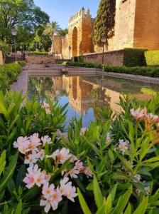 a body of water with flowers in front of a building at Apartamento la Marquesa in Córdoba +24 photos
