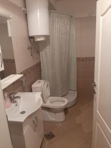 W łazience znajduje się toaleta, umywalka i prysznic. w obiekcie PARISKA NOC w mieście Loznica