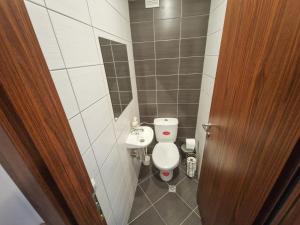 une petite salle de bain avec toilettes et lavabo dans l'établissement Sunny Apartment C25, à Borovets 14 autres photos