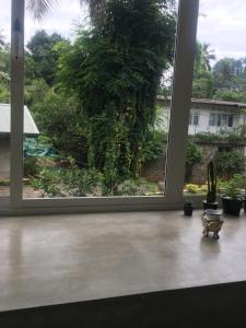 Zahrada ubytování Everdew Kandy Rooms